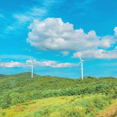 掌门太忙vivo版本下载